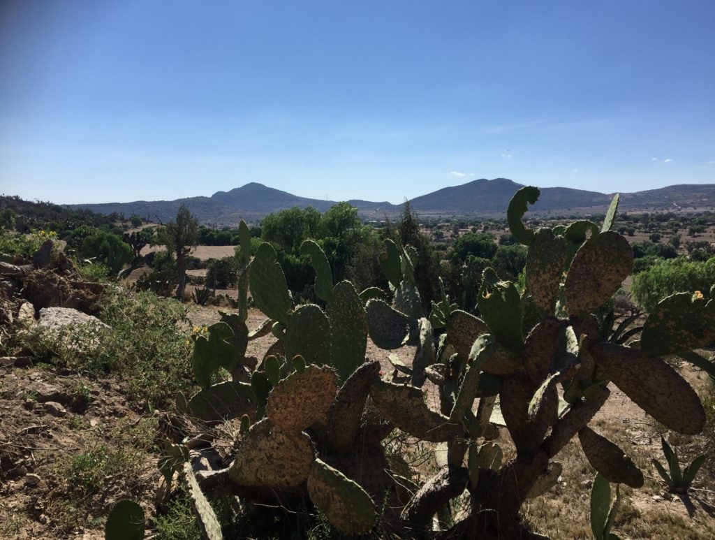 Estado de Hidalgo, México