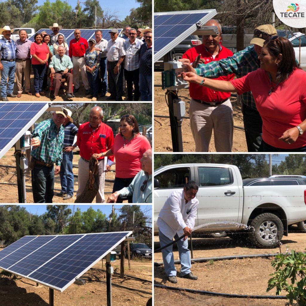 Energía fotovoltaica para el ganado